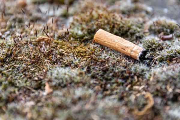 Cigarečių filtras – pavojingas mitas ir plastiko katastrofa 0 (0) Cigarečių filtrai ant žemės, simbolizuojantys aplinkos taršą ir sveikatos riziką
